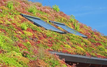 Homersfield living roof systems